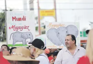  ?? Para Primera Hora / Lester Jiménez ?? TIRI-JALA. El pasado domingo se realizó una marcha en Mayagüez en defensa de Mundi y abogando por la reapertura inmediata del zoológico.