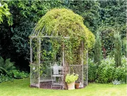  ??  ?? Clematis creates a green roof for a domed metal gazebo, providing a shady seating area. Behind is a border filled with white Lysimachia clethroide­s.