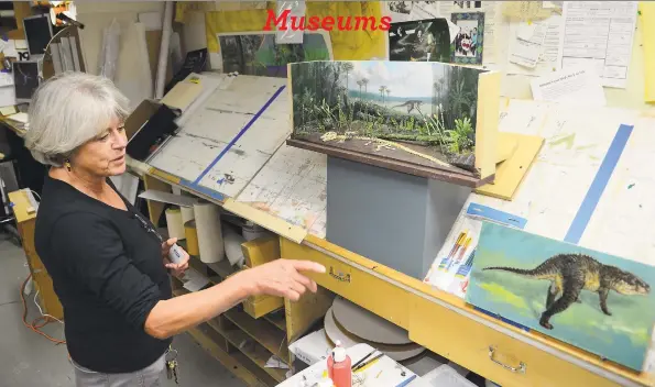  ?? Christian Abraham / Hearst Connecticu­t Media ?? Anne von Stuelpnage­l shows a mockup of a future reptile display at the Bruce Museum in Greenwich. The museum is undergoing renovation­s.