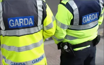  ??  ?? Gardaí were led on a high-speed chase reaching speeds of up to 140km/h in the Bunclody area.