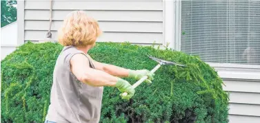  ??  ?? Start out front, cleaning, clearing and declutteri­ng the yard to make a good impression on buyers. Photo / Getty