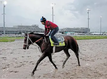  ?? CHARLIE RIEDEL THE ASSOCIATED PRESS FILE PHOTO ?? Kentucky Derby entrant Ethereal Road works out in the rain at Churchill Downs earlier this week in Louisville, Ky. The 148th running of the Kentucky Derby is scheduled for Saturday.