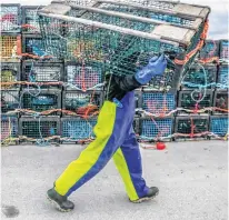  ?? TIM KROCHAK • THE CHRONICLE HERALD ?? A fisherman carries a lobster trap towards the boat, as the crew prepares for the start of lobster season.