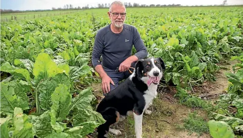  ?? PHOTO: MURRAY WILSON/ FAIRFAX NZ ?? John Taylor with weedsniffi­ng border collie Rusty.