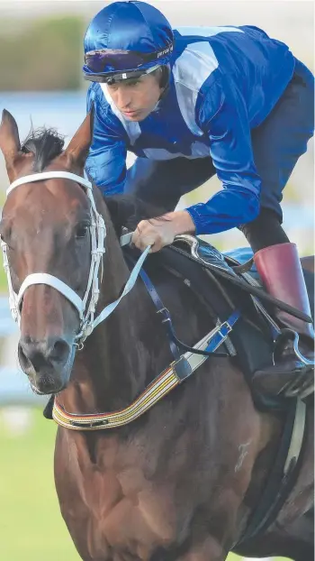  ??  ?? Hundreds turned out to see Hugh Bowman and Winx during the exhibition gallop at Royal Randwick Racecourse yesterday