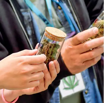  ??  ?? Commercio Prodotti a base di cannabis. La Cassazione ne ha vietato la vendita in base all’ effetto drogante della sostanza venduta