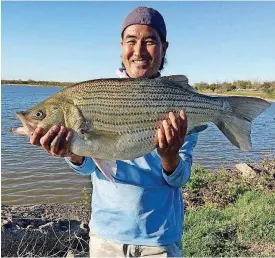  ?? [PHOTO PROVIDED] ?? Oklahoma City angler Sean Nguyen caught this 15.4-pound hybrid that measured 29 inches in length Thursday at Lake Overholser in Oklahoma City.