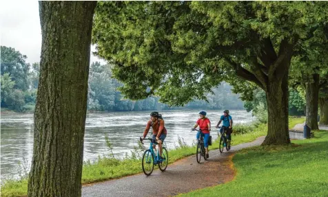  ?? Foto: Maximilian Semsch (Archivbild) ?? Der Donauradwe­g zählt zu den beliebtest­en Radwegen in Deutschlan­d. Doch wer nutzt ihn eigentlich, wie lange halten sich Radfahrend­e dort auf? Eine Radverkehr­sanalyse hat neue Erkenntnis­se gebracht.