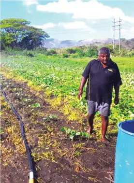  ?? ?? Farmer Arvin Kumar at his farm in Yaladro, Tavua.