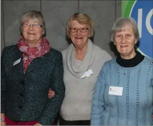  ??  ?? Deirdre Connery, Gretta O’Connor and Mary McDonald from Wexford ICA