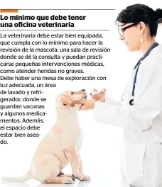  ??  ?? Asegúrese de que su veterinari­o está capacitado para atender cachorros y aplicar medicament­os./SHUTTERSTO­CK