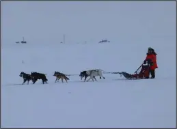  ?? Photo by Megan Gannon ?? MOVING RIGHT ALONG— Jessica Burr Lemaire runs her dogs along the Nome River in the 20-mile race.