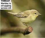  ?? ?? THREAT Warbler is struggling across UK