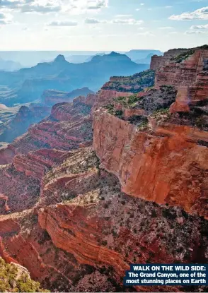  ?? ?? WALK ON THE WILD SIDE: The Grand Canyon, one of the most stunning places on Earth