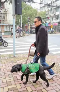  ??  ?? Left: A guide dog named AJ is appointed an “honorary theater manager” at the Shanghai Dramatic Arts Center to promote the use of guide dogs at cultural events. Right: Shanghai started training guide dogs in 2006, and 55 have “graduated.” — Photos by Ti Gong and Jiang Xiaowei