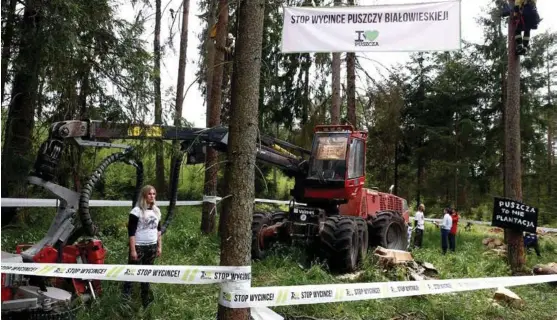  ?? FOTO: KACPER PEMPEL, REUTERS / NTB SCANPIX ?? «Stopp tømmerhugs­ten i Bialowieza-skogen» står det på plakaten. Bildet er fra en aksjon i mai.