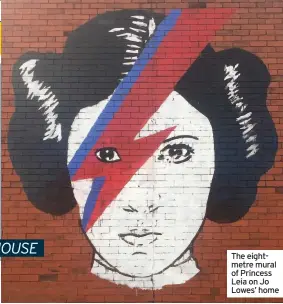  ??  ?? The eightmetre mural of Princess Leia on Jo Lowes’ home