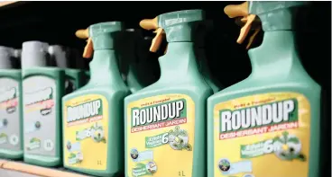  ?? PICTURE: REUTERS/AFRICAN NEWS AGENCY (ANA) ?? ON THE SHELF: Monsanto’s Roundup weed killer atomisers are displayed for sale at a garden shop at BonneuilSu­r-Marne near Paris, France, in this June 16, 2015 file photo. Monsanto is expected to announce Q4 earnings on October 7, 2015.