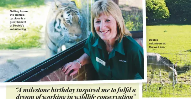  ??  ?? GETTING TO SEE THE ANIMALS UP CLOSE IS A GREAT BENEFIT OF DEBBIE’S VOLUNTEERI­NG DEBBIE VOLUNTEERS AT MARWELL ZOO