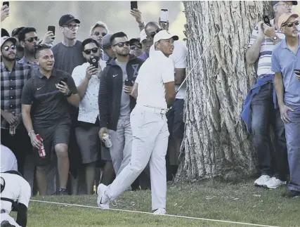  ??  ?? 0 Huge crowds followed Tiger Woods when he was paired with Rory Mcilroy and Justin Thomas in the Genesis Open