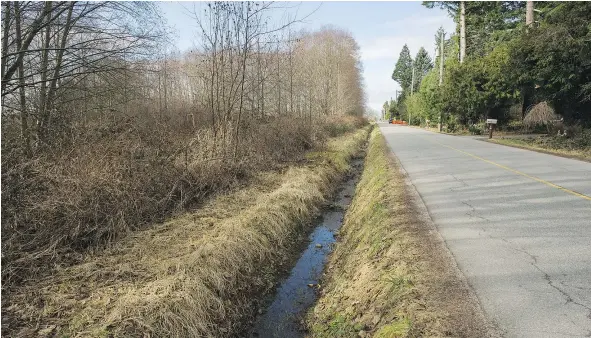  ?? ARLEN REDEKOP/PNG ?? A flood of asylum seekers walking across Canadian borders, such as this crossing near Surrey, hasn’t been seen in decades.