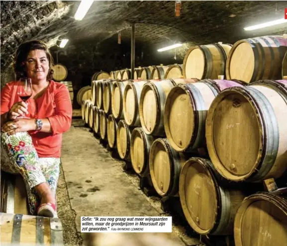  ?? Foto RAYMOND LEMMENS ?? Sofie: “Ik zou nog graag wat meer wijngaarde­n willen, maar de grondprijz­en in Meursault zijn zot geworden.”