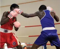  ?? JOSÉ SOARES | EDIÇÕES NOVEMBRO ?? Pugilistas olímpicos vão competir antes dos profission­ais