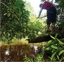  ??  ?? Archery: A tribesman hunts fish with bow and arrow