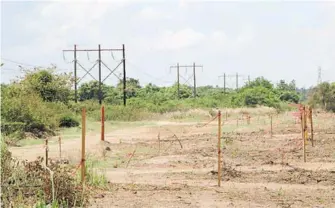  ?? /ESPECIAL ?? En el segundo semestre de 2019 iniciará la preparació­n del sitio y la construcci­ón en Dos Bocas Tabasco, a finales de año