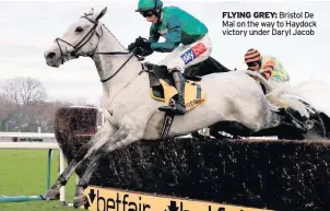  ??  ?? FLYING GREY: Bristol De Mai on the way to Haydock victory under Daryl Jacob