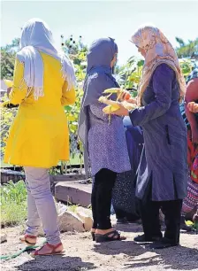  ?? COURTESY OF WORLDWIDEU­NDERGROUND.COM ?? Women from Afghanista­n harvest corn in the Immigrant and Refugee Resource Village of Albuquerqu­e community garden at Los Altos Christian Church. IRRVA works with Lutheran Family Services to provide English classes and work opportunit­ies.