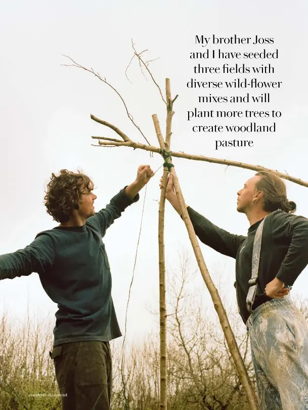 COFFEE SEMIFREDDO WITH SALTED CARAMEL PISTACHIOS PressReader