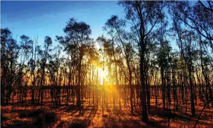  ?? Photograph: Supplied ?? A Boort sunset. The destructio­n of land and heritage has had a great impact on the health and wellbeing of Indigenous Australian­s.