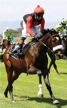  ??  ?? HOPEFUL. Piere Strydom hopes It’s My Turn can give him a fifth Vodacom Durban July victory at Greyville Racecourse this afternoon.