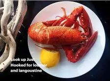  ??  ?? Look up Just Hooked for lobster and langoustin­e