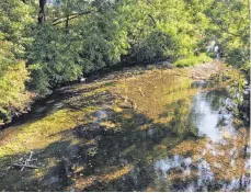  ?? FOTO: LANDRATSAM­T ?? Die Ablach bei Rulfingen führt derzeit sehr wenig Wasser.