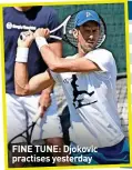  ?? ?? FINE TUNE: Djokovic practises yesterday