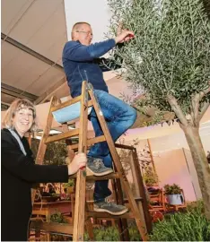  ?? Foto: Michael Hochgemuth ?? Das Thema Garten ist für viele afa Besucher wichtig. Beatrix Schaffrank­a und Nor bert Menzen legten bis gestern Hand an ihren Stand an.