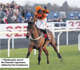  ??  ?? Thistlecra­ck, one of the Tizzards’ superstars, ridden by Tom Scudamore