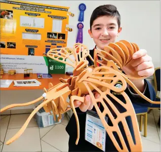  ??  ?? Rian Byrne from Coláiste Chill Mhantáin with his project ‘The Formation of Hydroxymet­hylfurfura­ldehyde (HMF) in Honey and the effects it has on the quality of the honey and human health’ at Johnstown Castle in Co Wexford.