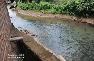  ??  ?? Bangunan di bibir sungai di Rianiate.