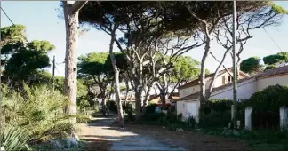  ?? (Photo doc V-M) ?? La pinède de la Capte regorge de maisons aux noms variés, relatifs au lieu, à la faune ou empruntés à la langue provençale.