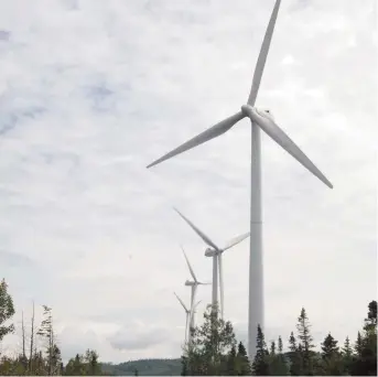  ?? ?? Le projet de constructi­on d’éoliennes dans le Haut-Madawaska, qui est réclamé depuis plusieurs années, est une fois de plus sur la glace, en attendant un hypothétiq­ue feu vert d’Énergie NB. - Archives