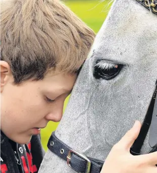  ??  ?? All I want for Christmas . . . Selfconfes­sed horse lover Casey Osborne (12), from Tahakopa, has a moment with Yarra on the Cobb and Co heavy wagon trail.