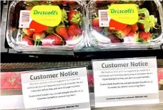  ??  ?? Customer notice signs are displayed underneath packets of Australia strawberri­es on sale at a supermarke­t in the central New South Wales town of Mudgee in Australia. — Reuters photo