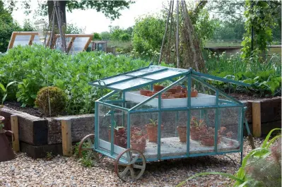  ??  ?? Right: This mini greenhouse on wheels is inspired by those used in Roman times, and creates a charming garden display
Below left: Edwardian-style lean-to timber greenhouse in Heron, from £8,000, White Cottage Greenhouse­s Below right: Stramburg Western red cedar greenhouse, £4,295, Woodpecker Joinery