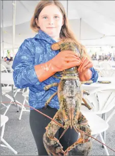 ?? KEVIN ADSHADE/THE NEWS ?? Nine-year-old Hannah Fleury, of Central Caribou, holds up Big Bubba, a big lobster caught by local fisherman Darryl Bowen which was entered in the king lobster competitio­n.