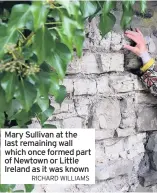  ?? RICHARD WILLIAMS ?? Mary Sullivan at the last remaining wall which once formed part of Newtown or Little Ireland as it was known