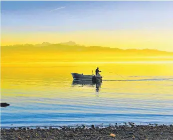  ?? FOTO: SCHMIDT ?? Im Vergleich zu den 1980er-Jahren ist die Wassertemp­eratur im Bodensee um ein Grad gestiegen – das hat Folgen für das Ökosystem.