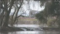  ?? BEA AHBECK/NEWS-SENTINEL ?? A levee breached along the Mokelumne River near Thornton on Jan. 11.